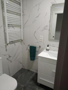 uma casa de banho com um lavatório, um WC e um espelho. em Piso nuevo a 10 minutos de San Sebastián em Lasarte-Oria
