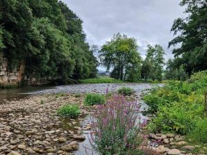 une rivière avec des rochers, des plantes et des arbres dans l'établissement Apartamentos Adri, à Quijas