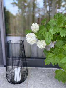 Zahrada ubytování B&B Plitvice Area Natura