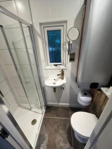 a bathroom with a toilet and a sink and a shower at The Shepherd’s Nest in Bristol