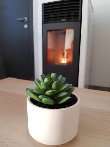 a plant in a white pot on a table with an oven at Au Chant Des Roches - Cerfontaine in Cerfontaine