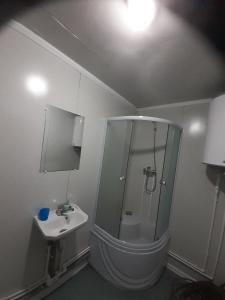 a bathroom with a shower and a sink at Casuta OTE SOFT Snagov Centru, Therme 20min in Snagov +34 photos