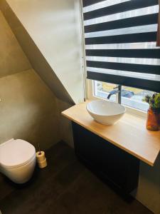 een badkamer met een toilet, een wastafel en een raam bij Stadshotel DE ACADEMIE in Franeker
