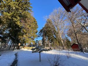 Charming Countryside Cottage في Varekil: ساحة مغطاة بالثلج مع الأشجار والحظيرة الحمراء