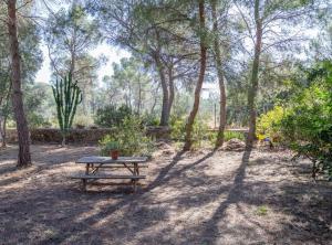 Luxe Vista Retreat في Serra: طاولة نزهة في منتصف الحديقة مع الأشجار