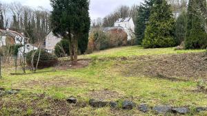 a garden with a tree on a hill at Maison 2 chambres proche de Bruxelles in Mont-Saint-Guibert