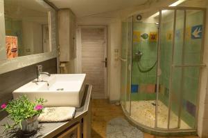 La salle de bains est pourvue d'un lavabo et d'une douche. dans l'établissement Atypical house near ARLES, Camargue, à Fourques
