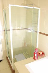 a shower with a glass door in a bathroom at Kunzi B&B in Gaborone