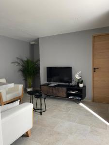 ein Wohnzimmer mit einem Flachbild-TV und einem Sofa in der Unterkunft Villa Romaine in Vaison-la-Romaine