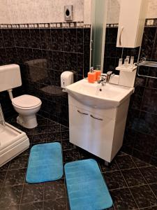 baño con lavabo, aseo y alfombras azules en Rooms Modrušan, en Slunj