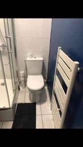 a small bathroom with a toilet and a shower at « Le petit Bastille»Proche Lyon centre in Villeurbanne