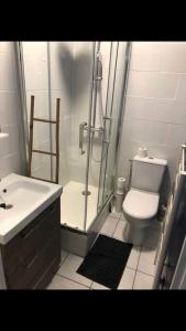 a bathroom with a shower and a toilet and a sink at « Le petit Bastille»Proche Lyon centre in Villeurbanne