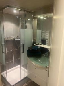 a bathroom with a glass shower and a sink at Appartement indépendant à 500 mètres de la mer in Saint-Gildas-de-Rhuys +17 photos