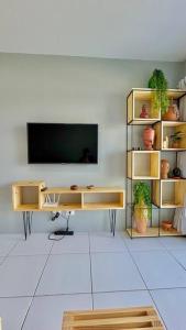 a living room with a tv and a shelf with plants at Flat Villa Monte Castelo in Bezerros
