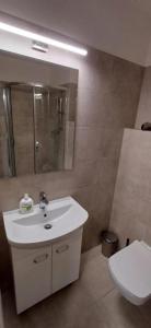 uma casa de banho com um lavatório, um WC e um espelho. em Lesia Apartments 4 em Brno