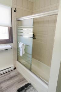 La salle de bains est pourvue d'une douche avec une porte en verre. dans l'établissement The Hemlock/Hot Tub/Golf/Private Yard, à Spring Green