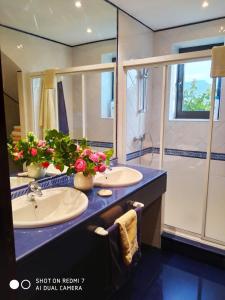 a bathroom with a sink and a shower at Prau del Urogallo in Ribadesella