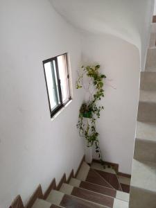 Fotografie z fotogalerie ubytování LA MESA CUND, APTO CONJUNTO GETSEMANI v destinaci La Mesa