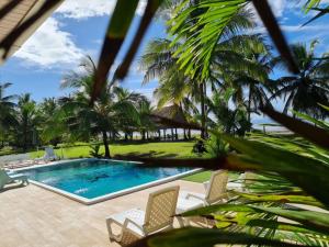 a swimming pool with chairs and palm trees at Casa Carey Lajas Pty Exclusive Beachfront Villa in Cabrera
