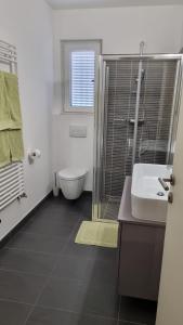 a bathroom with a toilet and a sink and a shower at Casa Emma in Poreč
