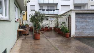 a courtyard with a bunch of plants in pots at Apartment nahe Cannstatter Wasen und Stadion in Stuttgart