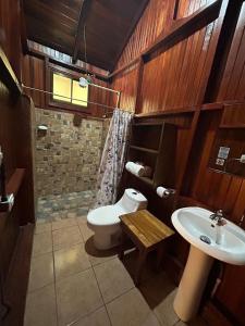 a bathroom with a toilet and a sink at Casa Torre Eco- Lodge in Fortuna
