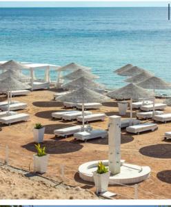 appartamento nel resort Domina في شرم الشيخ: مجموعة من كراسي الشاطئ والمظلات على الشاطئ