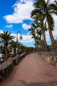 a brick road with palm trees and a street light at Night at sea Puerto Calero in Puerto Calero