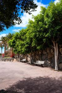 a row of trees and benches next to a stone wall at Night at sea Puerto Calero in Puerto Calero