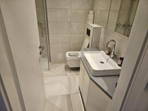 a small bathroom with a toilet and a sink at GardenLoft Terrace no 3 in Vienna
