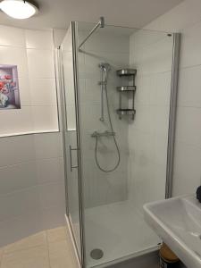 a shower with a glass door next to a sink at Danube Island Apartment 3 in Vienna