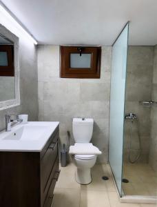 La salle de bains est pourvue de toilettes, d'un lavabo et d'une douche. dans l'établissement Villa Vasilia, à Lindos