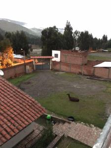 a backyard with a dog in the yard at Hacienda Norabuena in Recuay