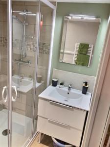 uma casa de banho branca com um lavatório e um chuveiro em Studio le petit nid douillet - Centre ville em Les Andelys