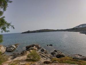 Loodusmaastik puhkemaja lähedal