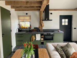 a kitchen with green cabinets and a couch at De Rheebok in Uddel