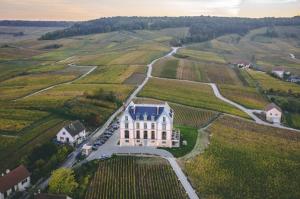 una vista aérea de una gran casa blanca con techo azul en Magnifique grange rénovée au coeur de la Champagne, en Les Mesneux