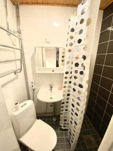 bagno con servizi igienici e lavandino di Cozy nest, Kamppi a Helsinki
