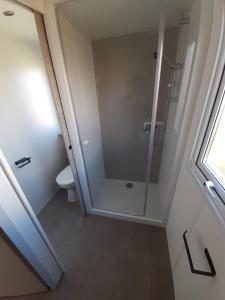 a bathroom with a shower and a toilet at litteau 213 in Litteau