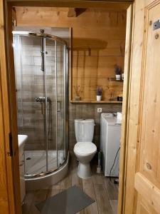 a bathroom with a toilet and a glass shower at Domek z bali Tryszczyn nad Brdą in Tryszczyn