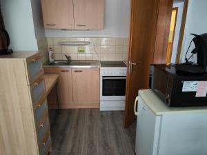 a small kitchen with a microwave and a stove at Sany's Apartments in Bad Orb