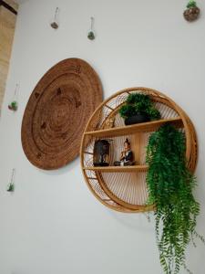 a wicker shelf with potted plants on a wall at Le Cosy Cabarieu in Saint-André-de-Cubzac