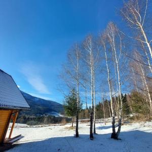 a group of trees in the snow next to a house at Panorama Sucha Góra ,Leśny domek in Skawica