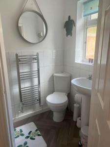 a bathroom with a toilet and a sink and a mirror at Annie's Hideaway in Chapel Saint Leonards