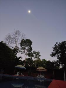ein Pool mit Sonnenschirmen und Stühlen und ein Mond in der Unterkunft Cabañas Horeb in Tena