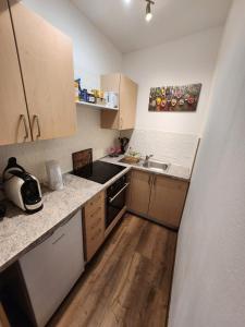 奧格斯堡的住宿－M&S Boarding Apartment，一间带水槽和炉灶的小厨房