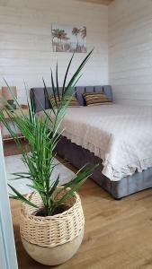 um quarto com uma cama grande e um vaso de plantas em Zakątek Dębki em Dębki