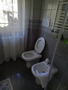 a bathroom with a toilet and a sink at Sul Lungo lago da Tatiana B&B in Dagnente
