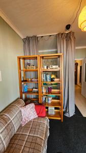 a living room with a couch and a book shelf at Lisbon Hideaway Haven in Lisbon