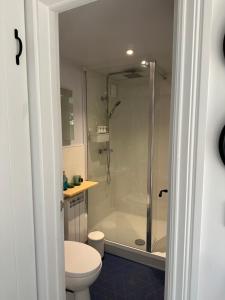 a bathroom with a shower and a toilet at The Snug: Dorset hideaway in Blandford Forum